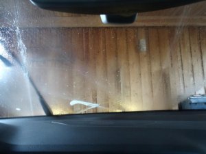 DSC00361.JPG DSC00361.JPG