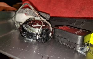 IMG_20191103_132359~2.jpg IMG_20191103_132359~2.jpg