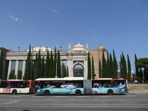 Z_0009.jpg Z_0009.jpg