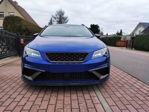 Cupra Blau Front.jpg