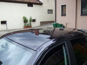 Leon 2009-05-30 Zaino AIO (60).JPG