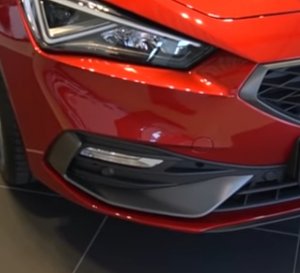 Designelement Leon FR.jpg