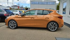 orange3 (Mittel).jpg