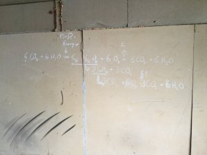 Biogas Biomasse Formel.jpg