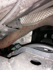 Halter gebrochen.jpg