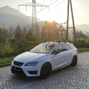 cupra2.jpg