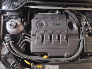 IMG_20210210_161312.jpg IMG_20210210_161312.jpg