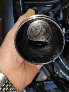 IMG_20210211_170306.jpg IMG_20210211_170306.jpg