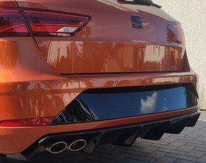 Leon Back Leiste.JPG