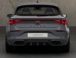 LEON300.JPG LEON300.JPG