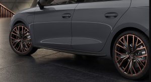 LEON300_DARK.JPG LEON300_DARK.JPG