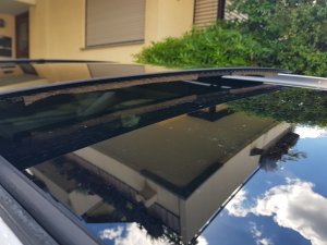 20210623_110116.jpg 20210623_110116.jpg