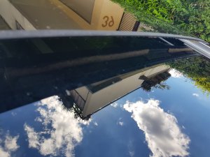 20210623_110138.jpg 20210623_110138.jpg