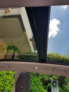 20210623_110046.jpg 20210623_110046.jpg