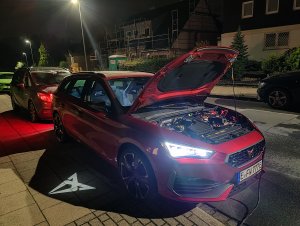 IMG_20210810_010402.jpg IMG_20210810_010402.jpg