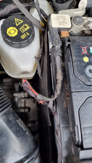 20220429_161653.jpg 20220429_161653.jpg