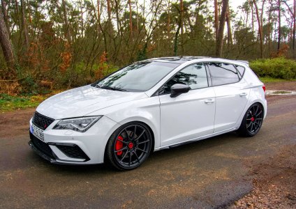 IMG-20220731-WA0019.jpg IMG-20220731-WA0019.jpg