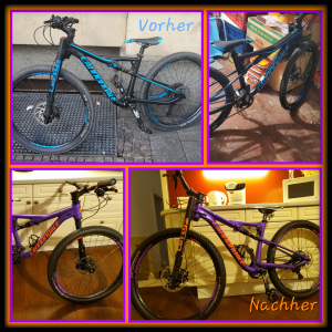 Foto-Collagen-App vorher nachher.png