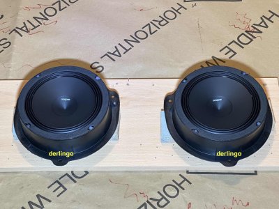 20221210_CUPRA Leon - Türlautsprecher hinten.jpg