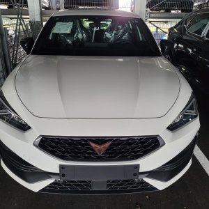 Cupra 1.jpg