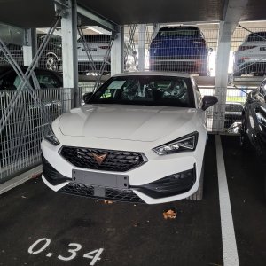 Cupra 2.jpg