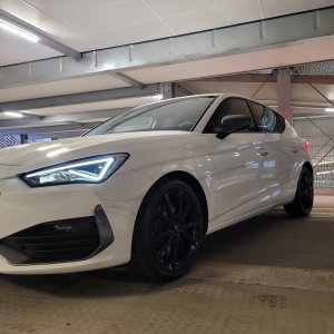 Cupra 3.jpg