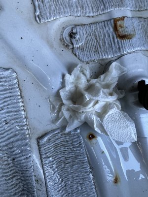 IMG_0590.jpeg IMG_0590.jpeg