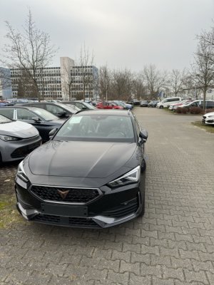 Groß (IMG_7928).jpeg Groß (IMG_7928).jpeg