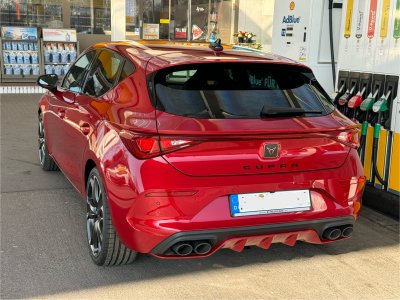 IMG_2540.jpeg IMG_2540.jpeg