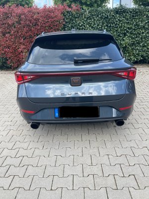 IMG_4167.jpeg IMG_4167.jpeg