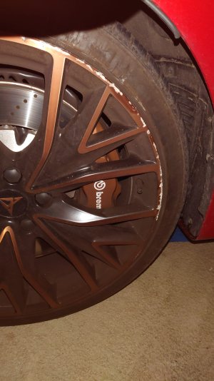 WhatsApp Image 2026-01-15 at 15.39.10.jpeg