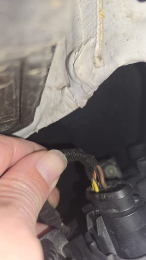 WhatsApp Image 2026-03-01 at 11.50.48.jpeg