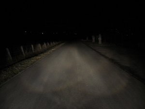 Motorhaube Halogen.JPG