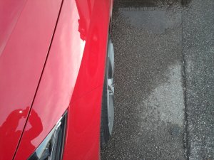 Foto-0017.jpg Foto-0017.jpg