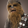 Chewbacca1305