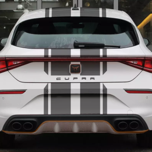 Cupra VZ 300 Konzept Heck