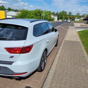 Cupra Sommer