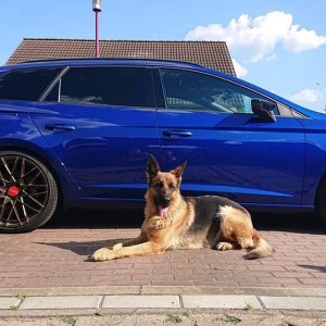 Finger weg vom Cupra!!!